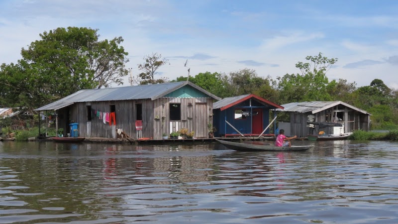 A Amazônia no futuro Congresso Nacional. Artigo de Ivânia Vieira