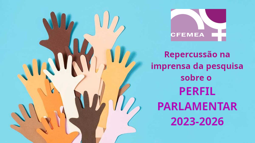 Cfemea Perfil Parlamentar