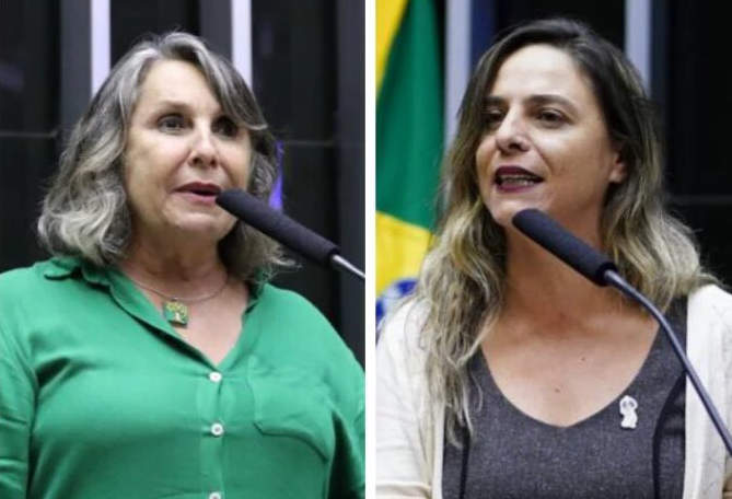 Projeto ultraconservador que pretende retirar direitos das mulheres sobre aborto não avança em comissão da Câmara