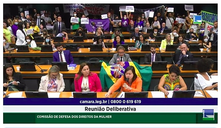 comissao mulher votacao aborto nov22