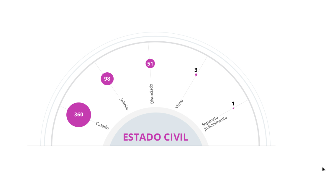 composicao camara 2022 estado civil7