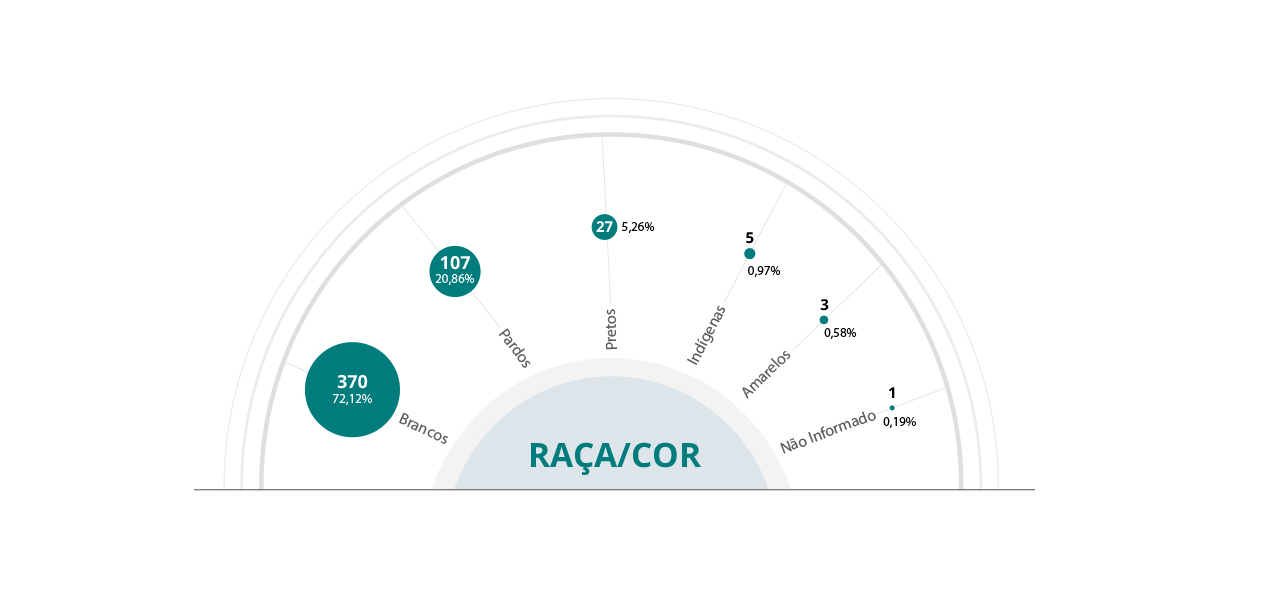 composicao camara 2022 raca cor3