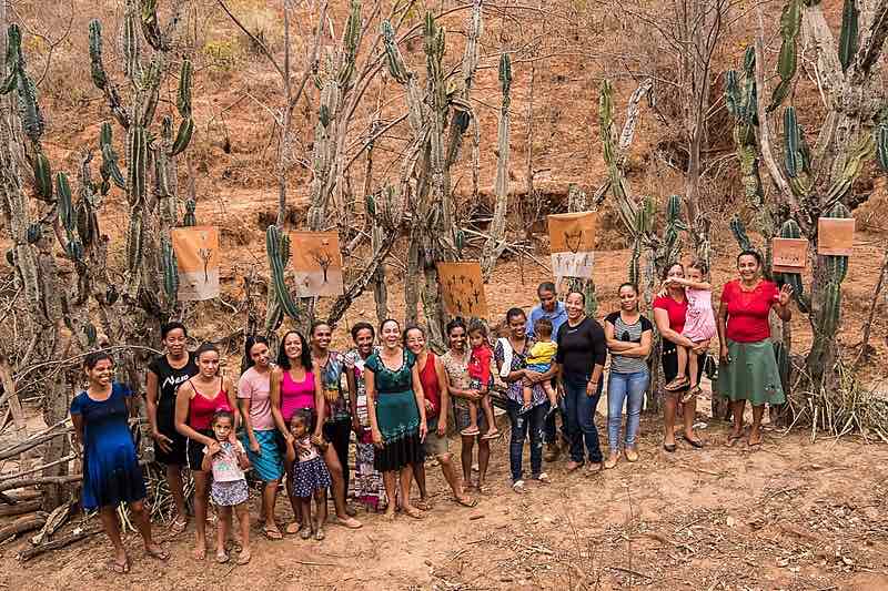 Tradição de “jogar versos” gera renda a mulheres do Vale do Jequitinhonha (MG)