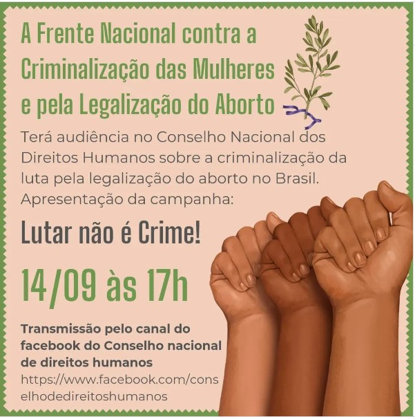  Conselho Nacional dos Direitos Humanos discute a criminalização da luta pela legalização do aborto