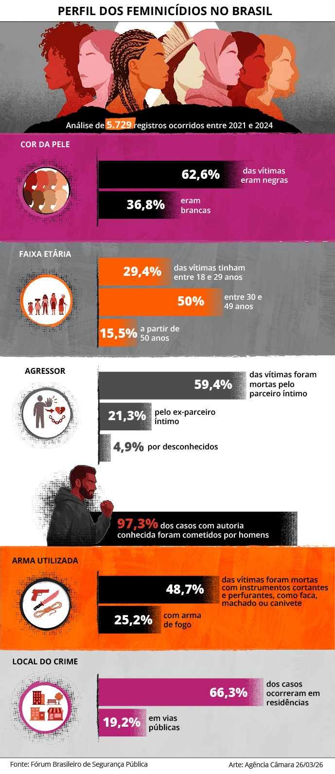 perfil feminicidios2026