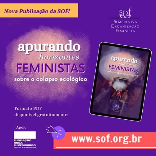 Apurando horizontes feministas sobre o colapso ecológico