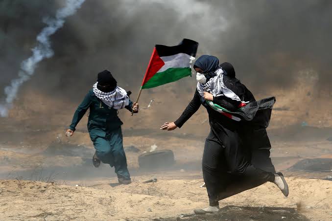 palestina genocidio