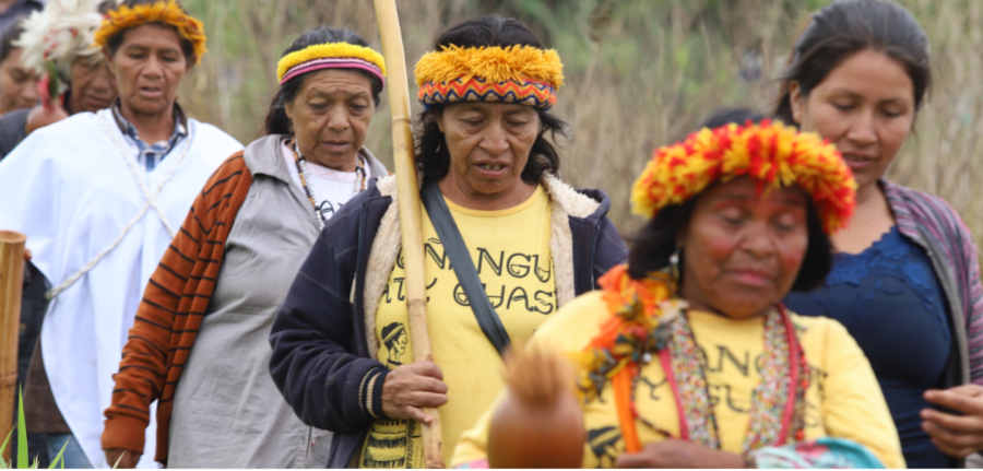 Em território indígena recuperado, condições de vida melhoram, mas fome persiste