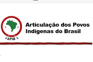 Após pressão da Apib, Governo de Transição acata indicações da organização