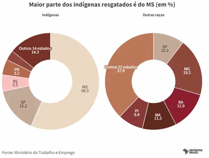 Indígenas do Mato Grosso do Sul são os mais explorados por trabalho escravo