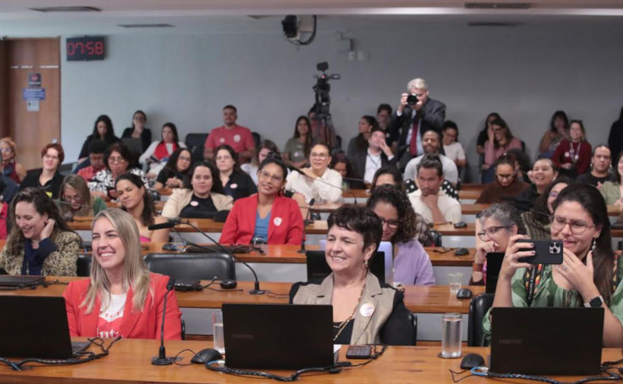 misoginia 8julho2026 camara2