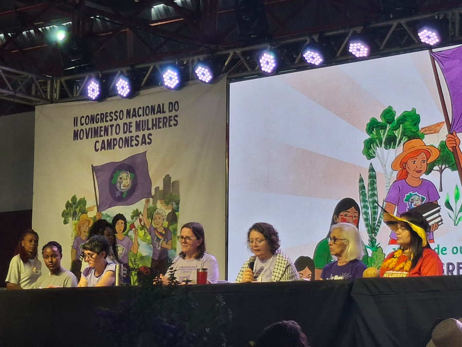 mmc guacira mesa congresso1