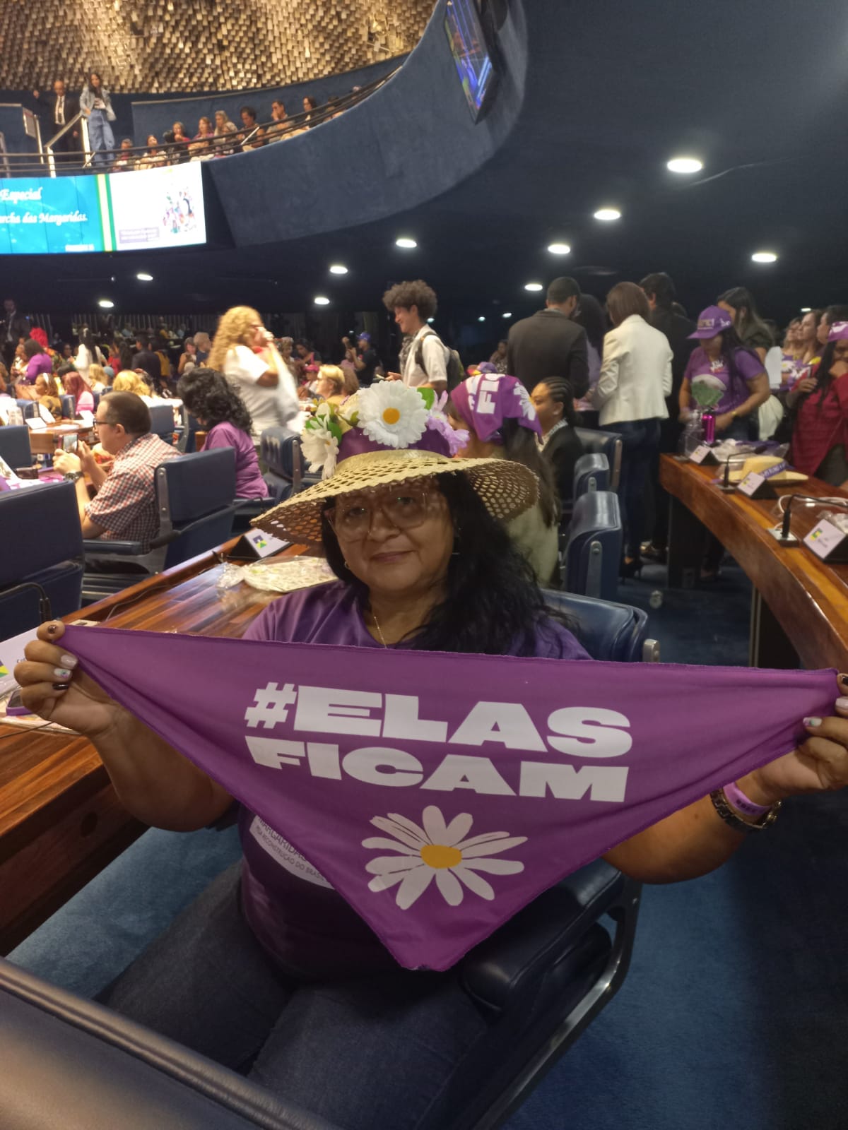 marcha senado