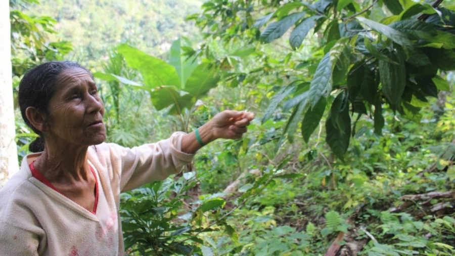 A agricultura como forma de resistência e de produção de saberes de mulheres camponesas e quilombolas