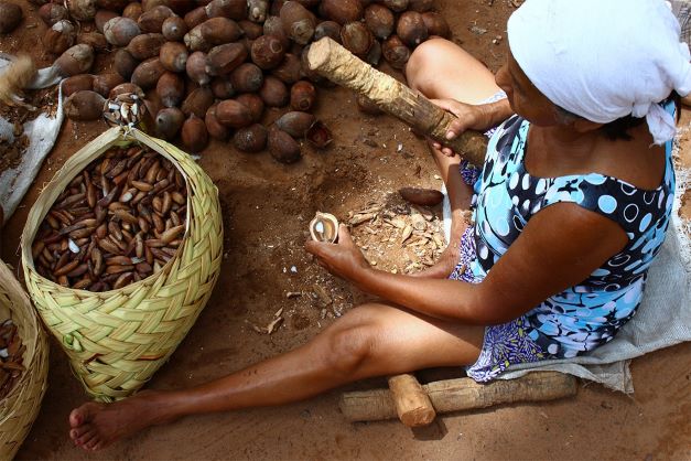 Síntese dos indicadores sociais das mulheres no Brasil