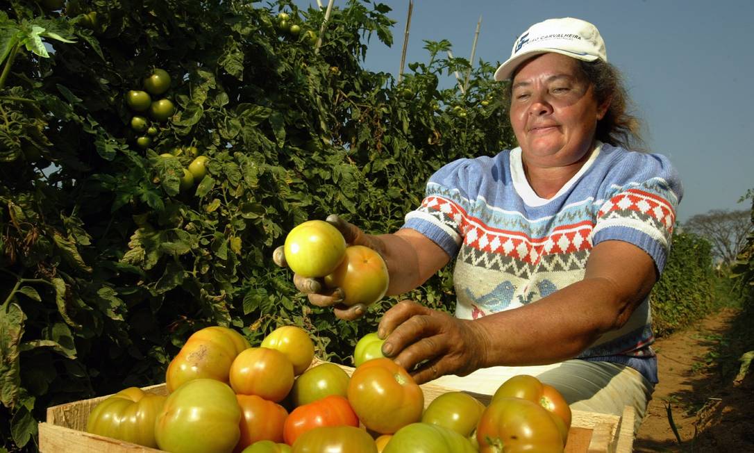 Igualdade no campo pode reduzir fome e aumentar PIB