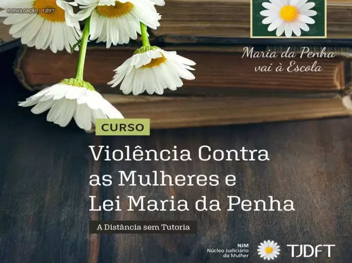 Tribunal de Justiça do DF disponibiliza curso a distância sobre violência contra as mulheres e Lei Maria da Penha