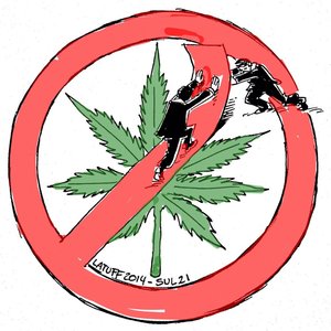 legalizacao da maconha