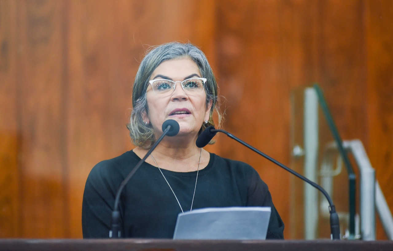 deputada Stela Farias PT RS