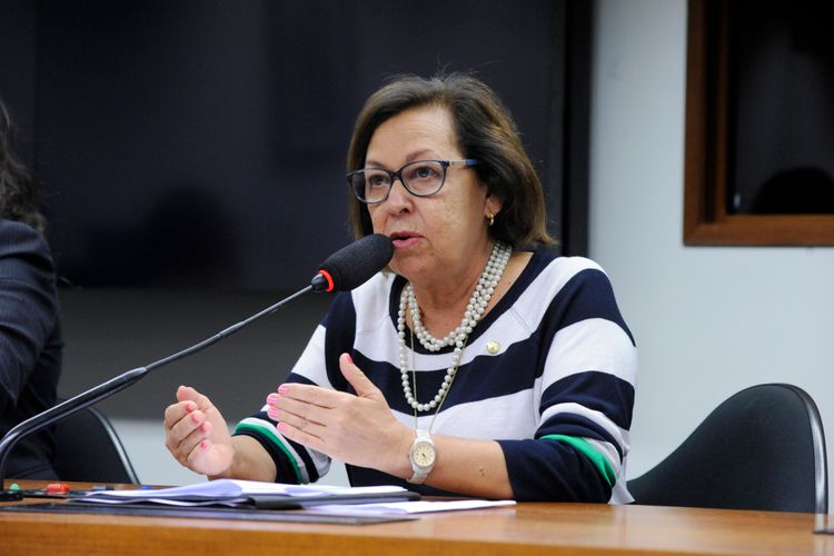 Deputada Lídice da Mata. Foto Cleia Viana / Câmara dos Deputados