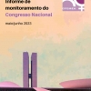 Informe de Monitoramento do Congresso Nacional maio-junho 2023
